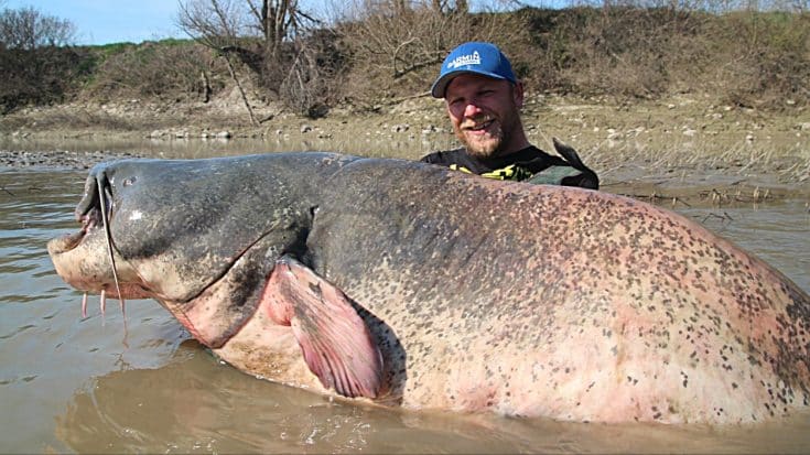Fisherman Reels In 9-Foot, Record-Breaking Catfish | Country Music Videos