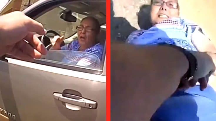 Southern Grandma Rejects Traffic Ticket & Drives Off…So The Officer Tased Her | Country Music Videos