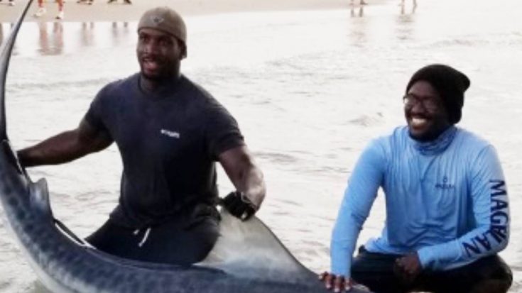 Texas Brothers Break Their Own Record With Massive Shark Catch | Country Music Videos