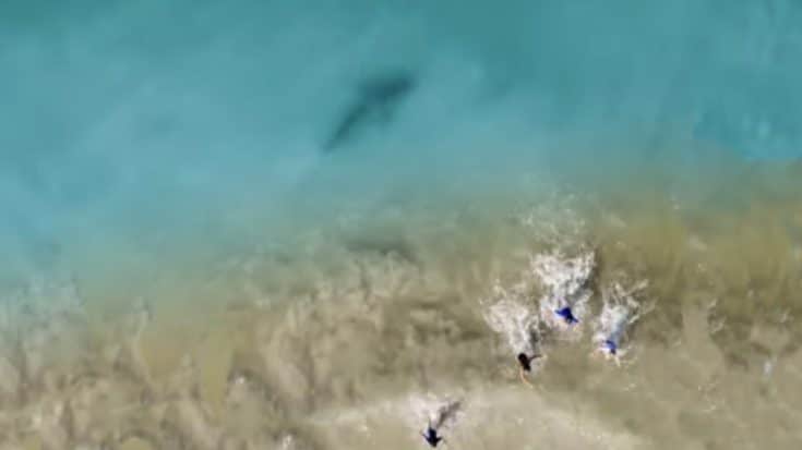 Dad’s Drone Spots Shark Swimming Towards His Kids | Country Music Videos