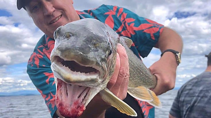 Fish With Two Mouths Caught Again In Lake Champlain | Country Music Videos