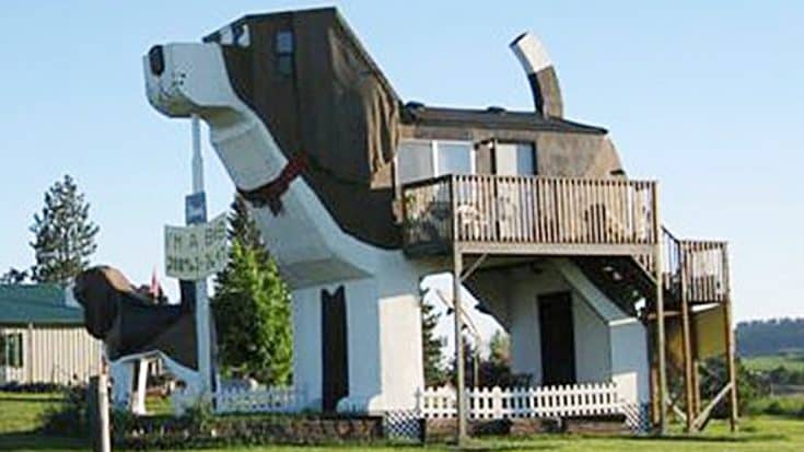 People Are Renting This Dog-Shaped Home For The Night | Country Music Videos