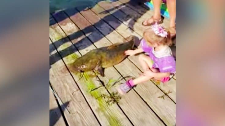 4-Year-Old Girl Snags 33lb Catfish…It Weighs More Than She Does | Country Music Videos