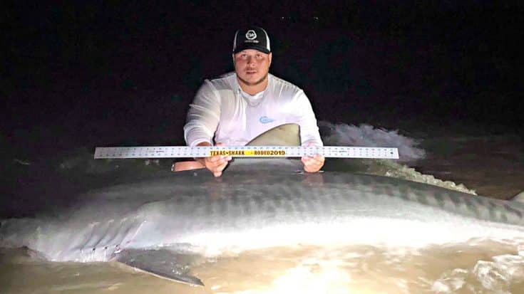 11-Foot, 7-Inch Tiger Shark Caught Off The Coast Of Texas | Country Music Videos