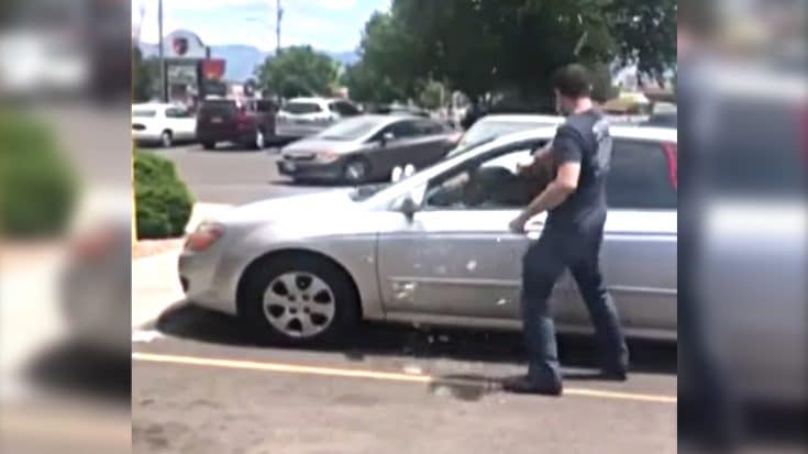 New Mexico Man Smashes Car Window To Save Dying Dog | Country Music Videos