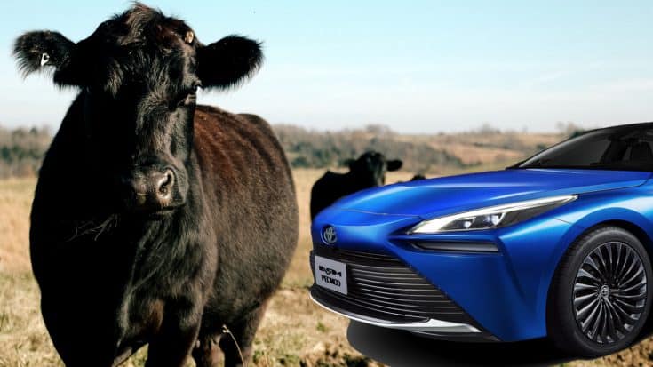 Toyota’s New Car Runs On Cow Poop, For Sale In 2021 | Country Music Videos