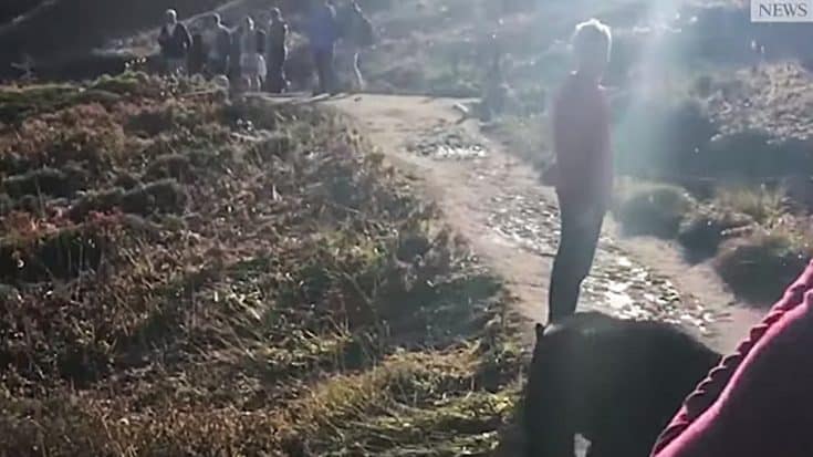 Bear Runs Up To Teen Hiker, Sniffs Him & Walks Away: “I Was Terrified” | Country Music Videos