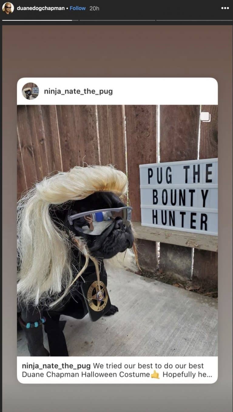 Pug Wears Blonde Wig For 'Dog The Bounty Hunter' Costume