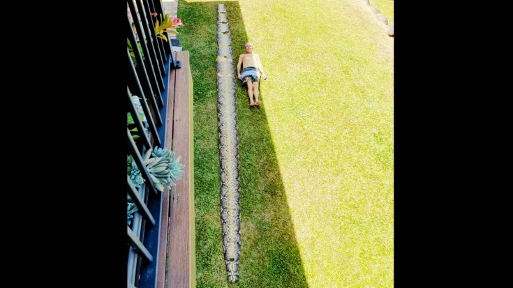 23-Foot Snake Skin Discovered By Man On Daily Walk In Queensland, Australia | Country Music Videos