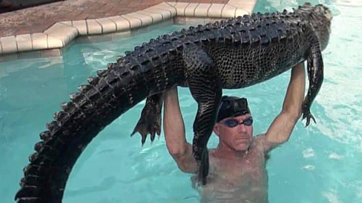 Man Jumps Into Pool With 9-Foot Alligator, Captures It Bare-Handed In Florida | Country Music Videos