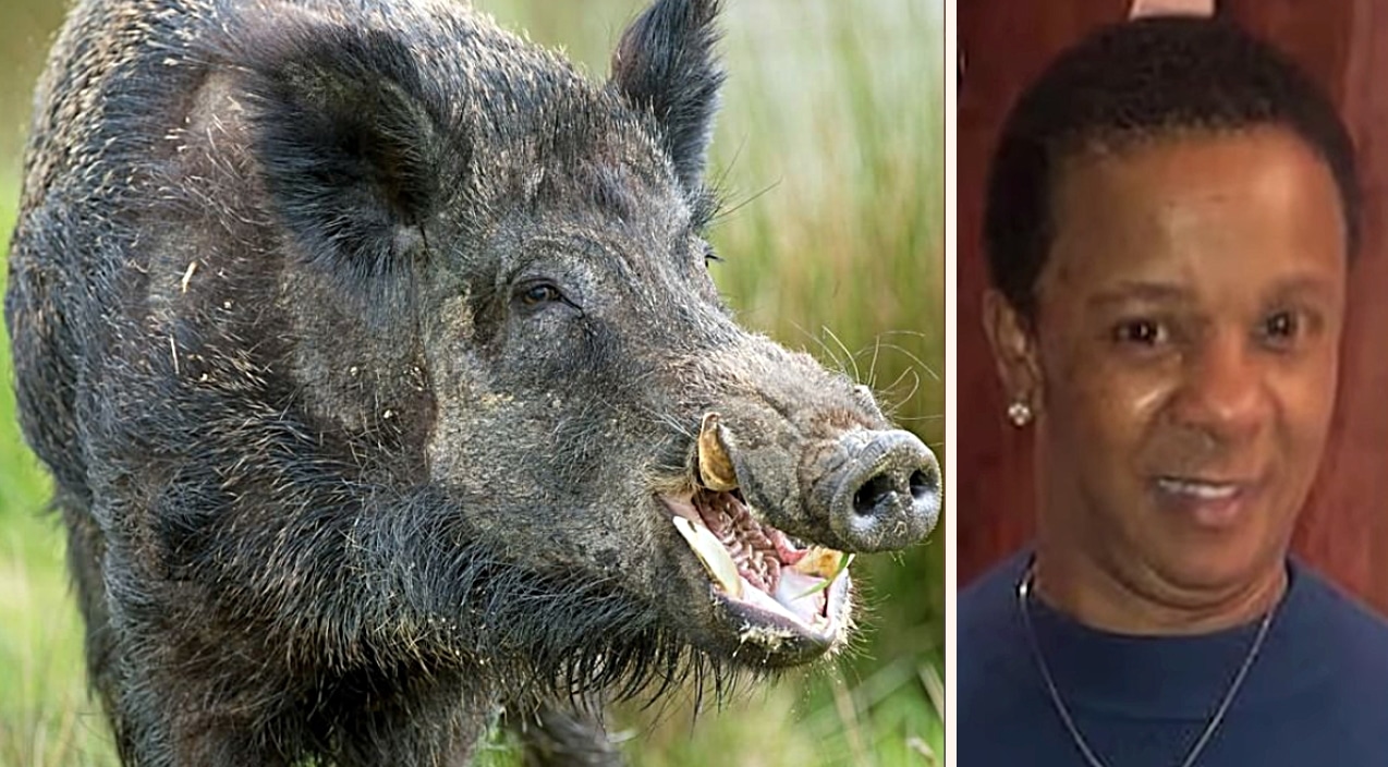 Wild Hogs Ambushed & Killed Texas Woman On Her Way To Night Shift | Country Music Videos