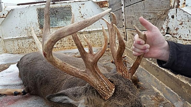 Hunter Shoots 13-Point Deer, Then Realizes It’s Not A Buck, But A Doe | Country Music Videos