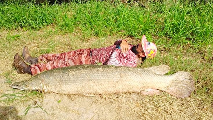 Fisherman In Texas Lands 200-Pound Alligator Gar | Country Music Videos