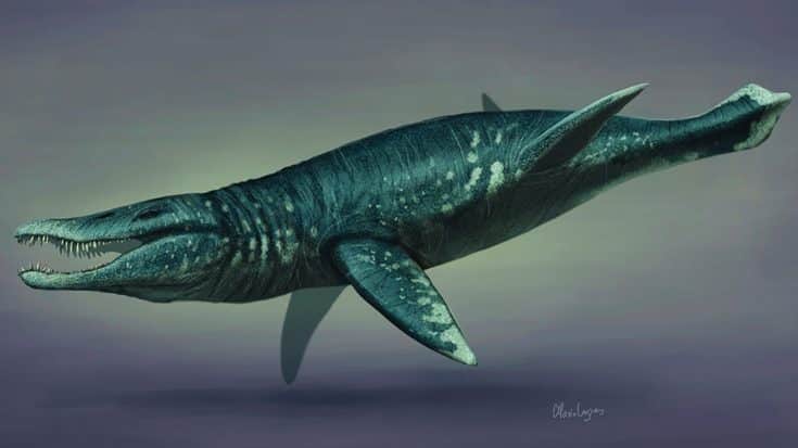 Researchers Uncover 33-Foot Long Pliosaur Surrounded By Bones | Country Music Videos