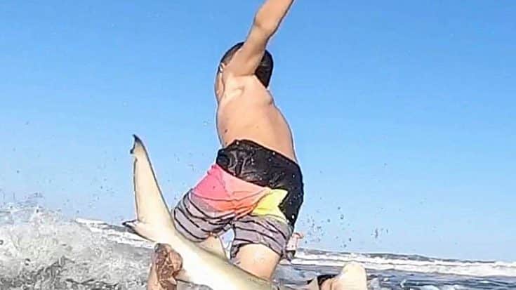 Shark Knocks 9-Year-Old Boy Off Surfboard, GoPro Records Everything | Country Music Videos