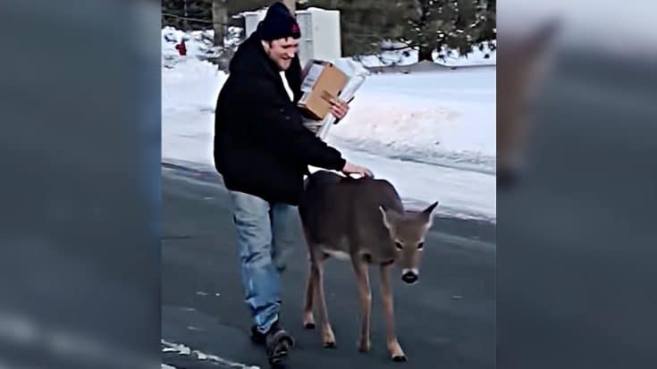 Deer Walks Up To Man & Nudges His Hand Hoping To Get Pet | Country Music Videos