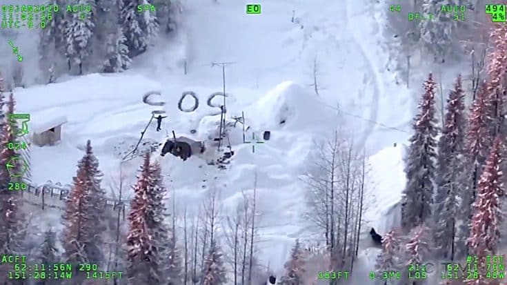 Man Survives 20 Days In Remote Alaska After Cabin Burns Down, Killing His Dog | Country Music Videos