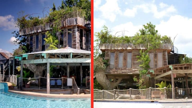 Texas Tree House AirBnb Has Wrap-Around Pool & Is Just 5 Miles From Gruene Hall | Country Music Videos