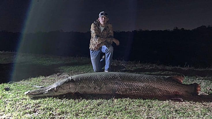 18-Year-Old Fisherman, Jack Pytel, Reels In 7-foot, 190-pound Alligator Gar | Country Music Videos