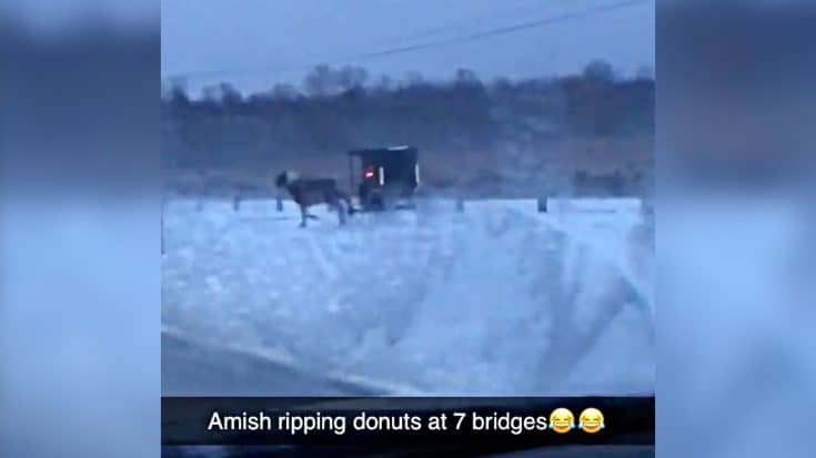Video Shows Amish Horse & Buggy Doing Donuts In The Snow | Country Music Videos