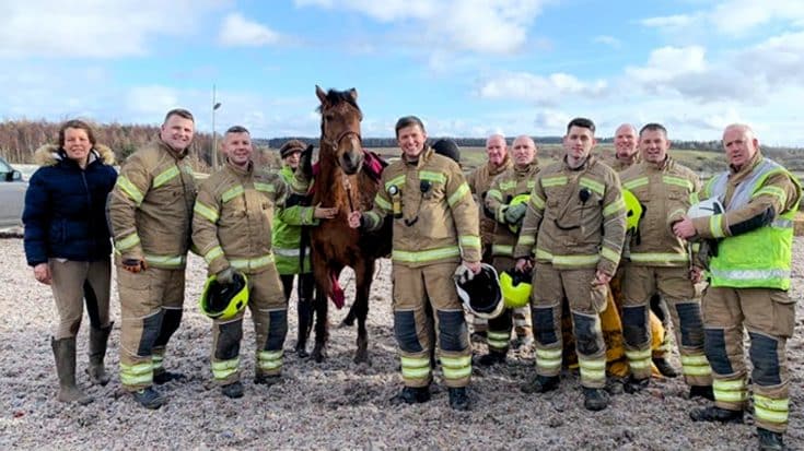 Firefighters Spend 2 Hours Trying To Save Horse Stuck In Mud | Country Music Videos
