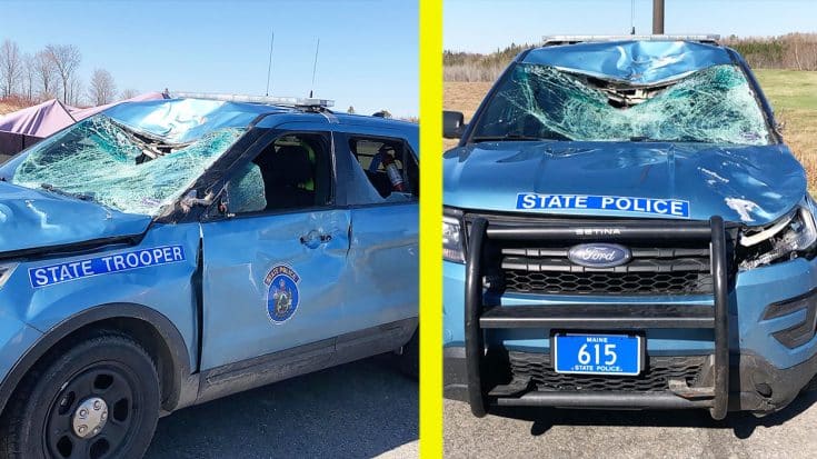 Maine State Trooper Hits Moose On Highway, Destroys Cruiser | Country Music Videos