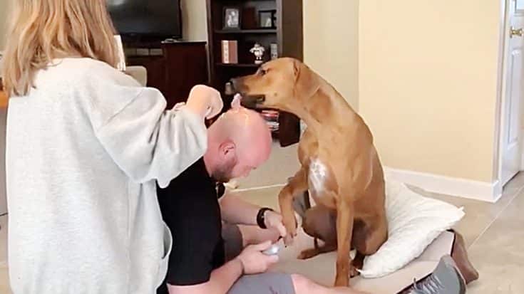 Guy Uses Easy Cheese To Distract Dog While Trimming His Nails | Country Music Videos