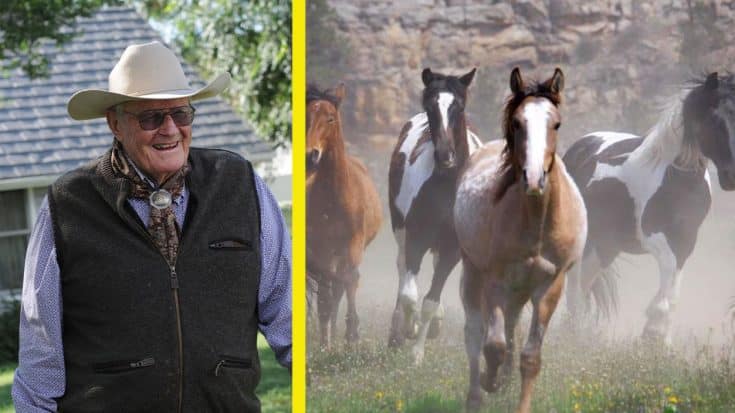 Cowboy Dedicates His Life & 11,000 Acres To Rescue Wild Horses | Country Music Videos