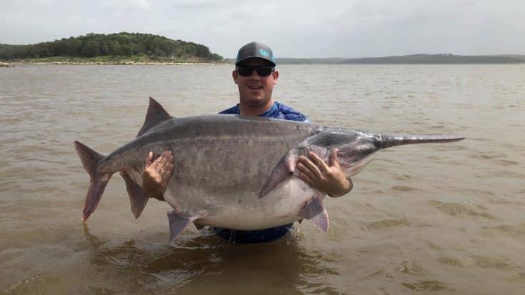 Oklahoma Fisherman Catches World-Record 146-Pound Paddlefish, Names It “Girth Brooks” | Country Music Videos