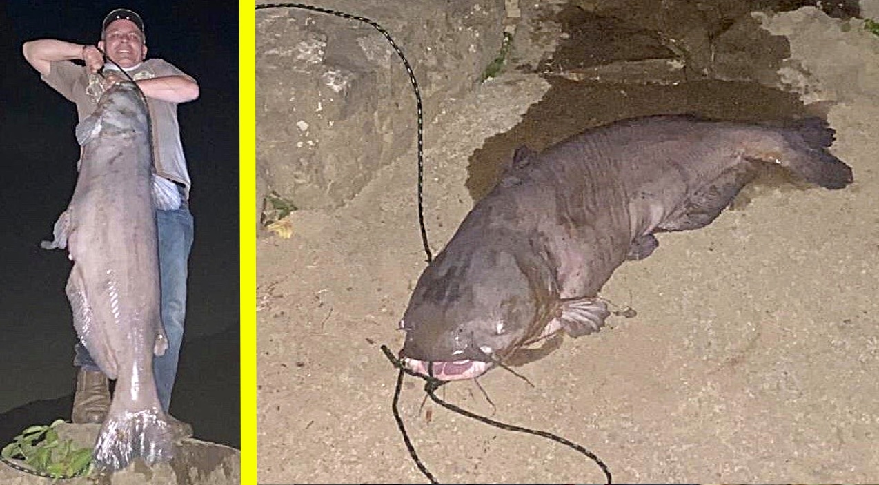 103Pound Blue Catfish Caught In Tennessee Nearly Breaks