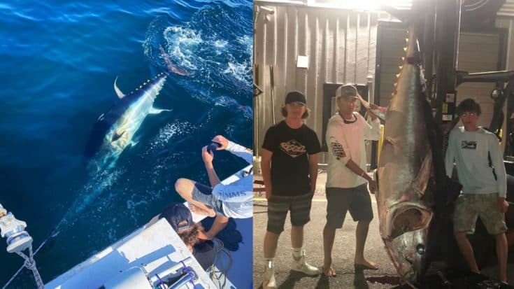 3 Teenagers Caught 750-Pound Tuna 40 Miles Off Maine By Themselves | Country Music Videos