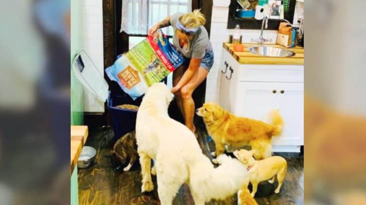 Miranda Lambert’s Dogs & Kitten Help Show Off Her New Line Of Pet Food & Treats | Country Music Videos