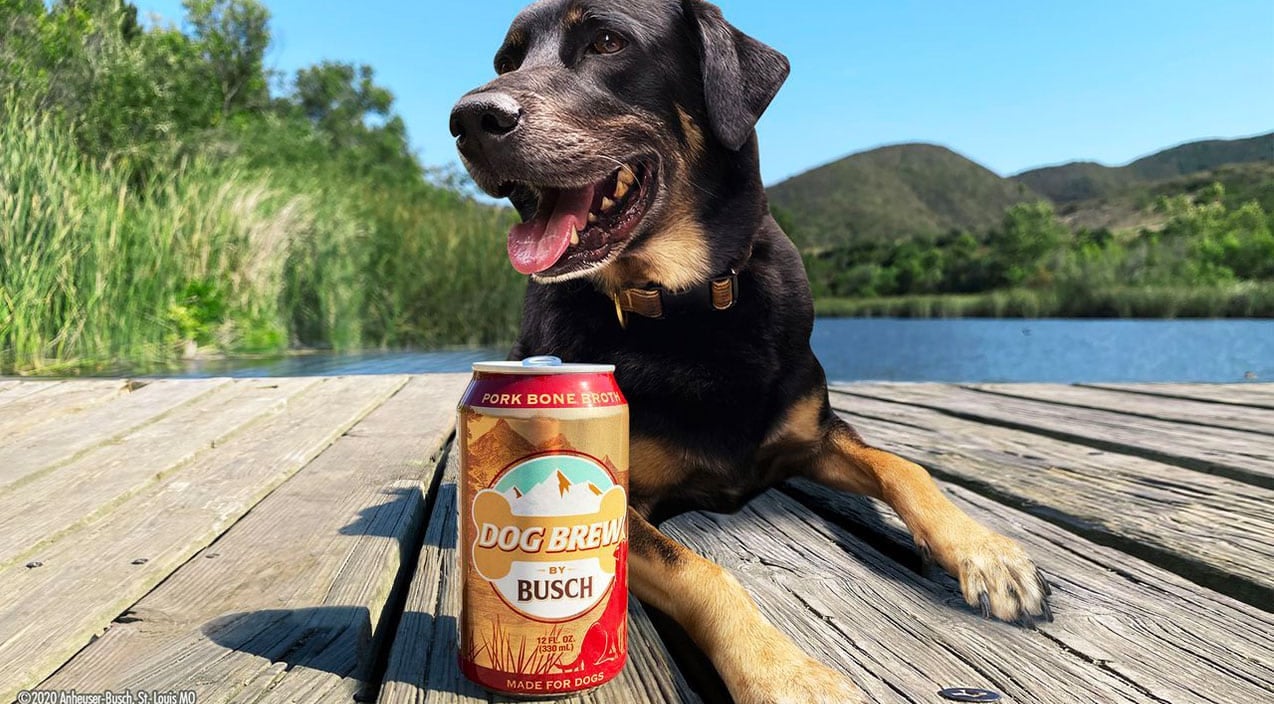 Busch Announces New Beer For Dogs | Country Music Videos