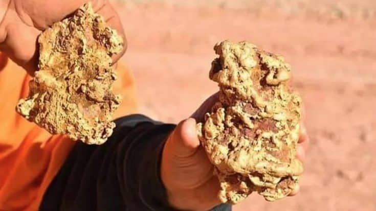 Two Gold Nuggets Worth $350,000 Found By Treasure Hunters | Country Music Videos
