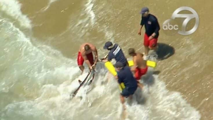 Lifeguards Pull In Shark Bare-Handed To Protect Public | Country Music Videos