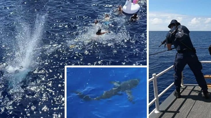 U.S. Coast Guard Shoots At 6-8ft Shark To Protect 40 Crew Members In Water | Country Music Videos