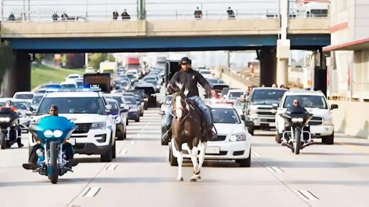 Cowboy Arrested After Riding Horse On Freeway During Rush Hour Traffic | Country Music Videos