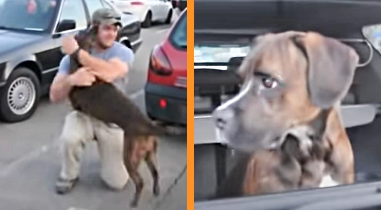 Dog Leaps Out Of Car Upon Seeing Dad’s Return From Deployment | Country Music Videos