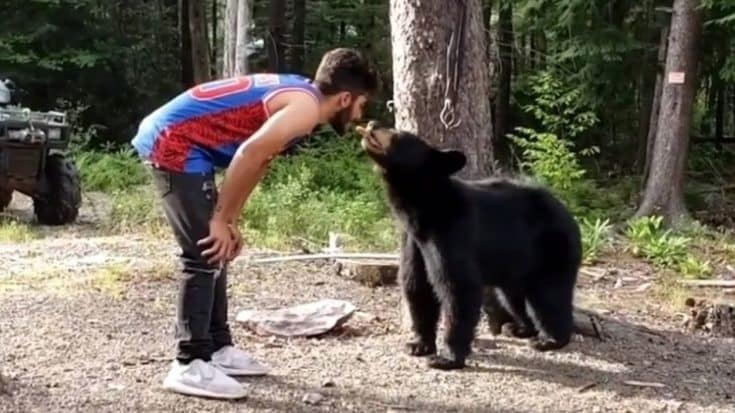 Man Feeds Wild Black Bear Cookies From His Mouth | Country Music Videos