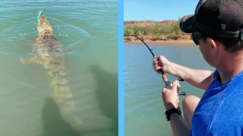 Fisherman Reels In Croc Instead Of Fish | Country Music Videos