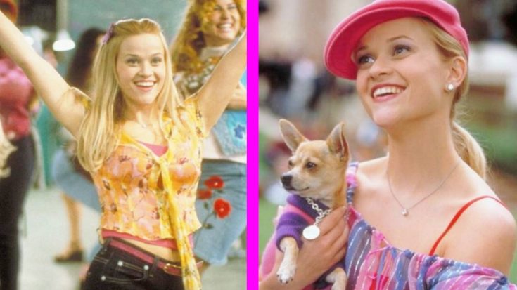“Legally Blonde 3” Gets May 2022 Release Date | Country Music Videos