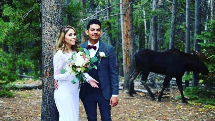 Moose Walks Into Newlywed Photoshoot In Colorado | Country Music Videos