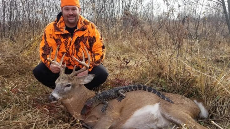 Hunter Kills 3ft Gator After Bagging A Buck In Minnesota | Country Music Videos