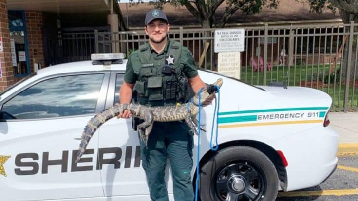 FL Deputy Finds 4.5-Foot Alligator On Elementary School Playground | Country Music Videos