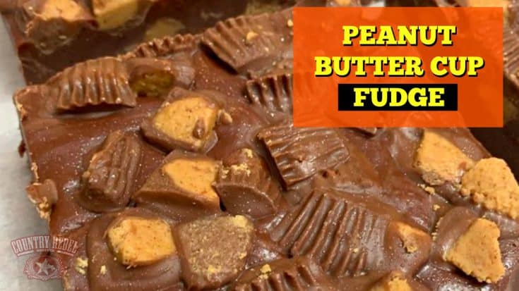 How To Make Peanut Butter Cup Fantasy Fudge | Country Music Videos