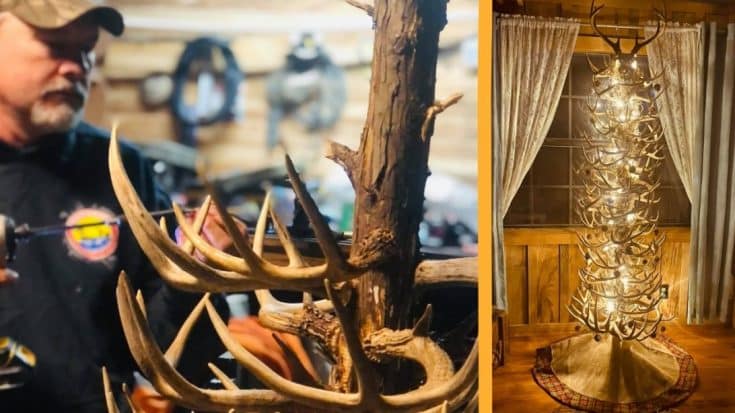 Man Makes Christmas Tree Out Of Deer Antlers, Wife Loves It | Country Music Videos