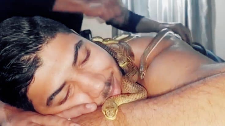 Snake Massage Therapy Is Helping Folks Regain Their Confidence | Country Music Videos