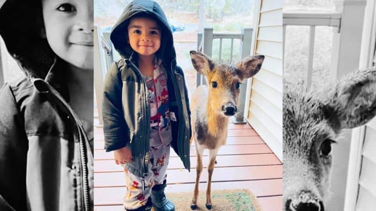 4-Year-Old Brings Baby Deer Home After Playing Outside | Country Music Videos