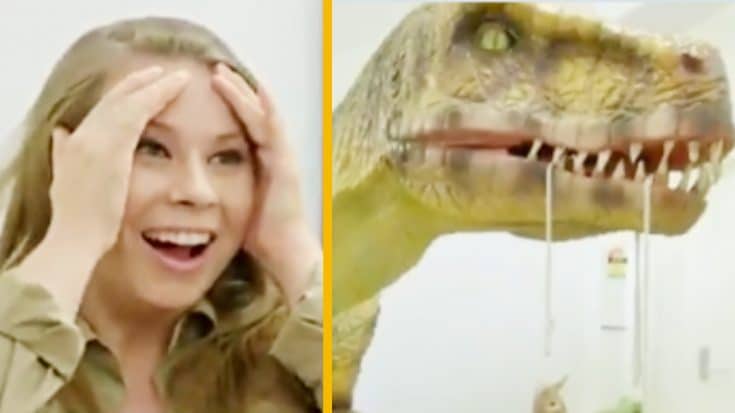 Bindi Irwin Reacts To Dinosaur-Themed Nursery In New Documentary Special | Country Music Videos