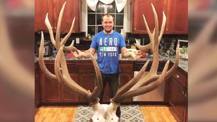 Montana Man Discovers “Unbelievable” Elk Skull While Searching For Mushrooms | Country Music Videos